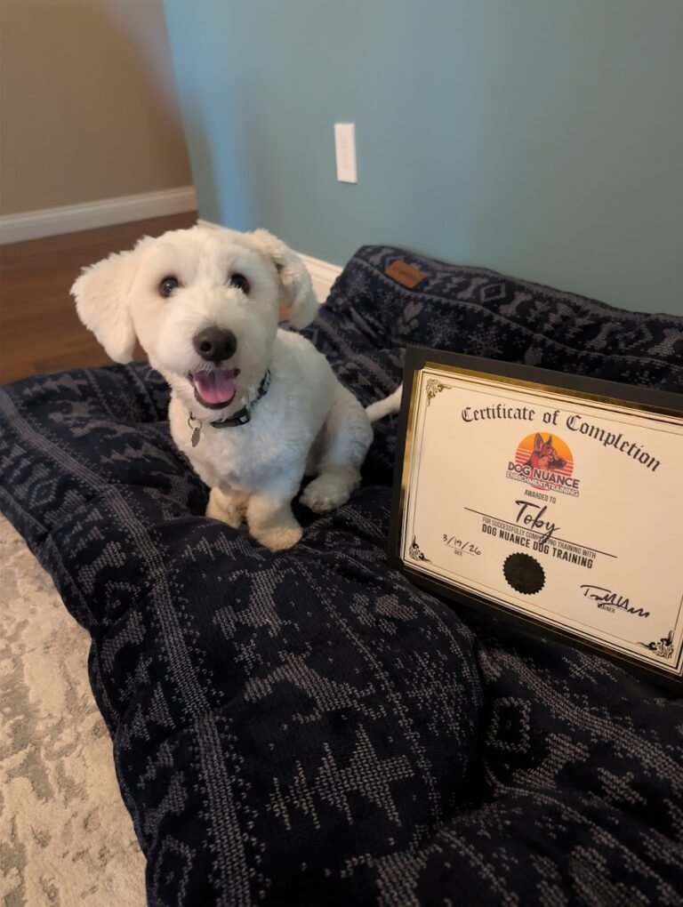 PXL_20260319_213832636